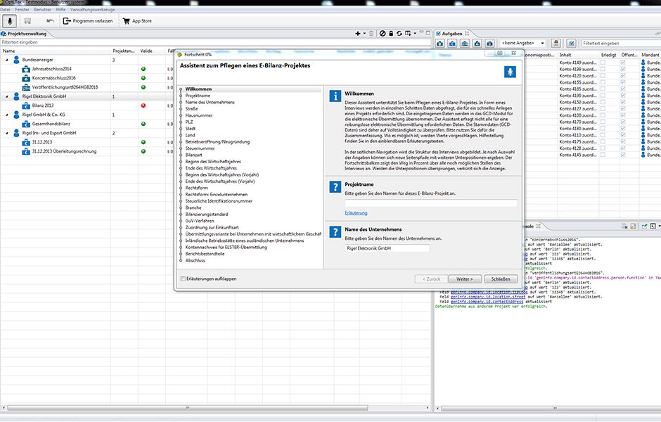 Assistent zum Pflegen eines E-Bilanz-Projektes